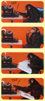 wonderchimp